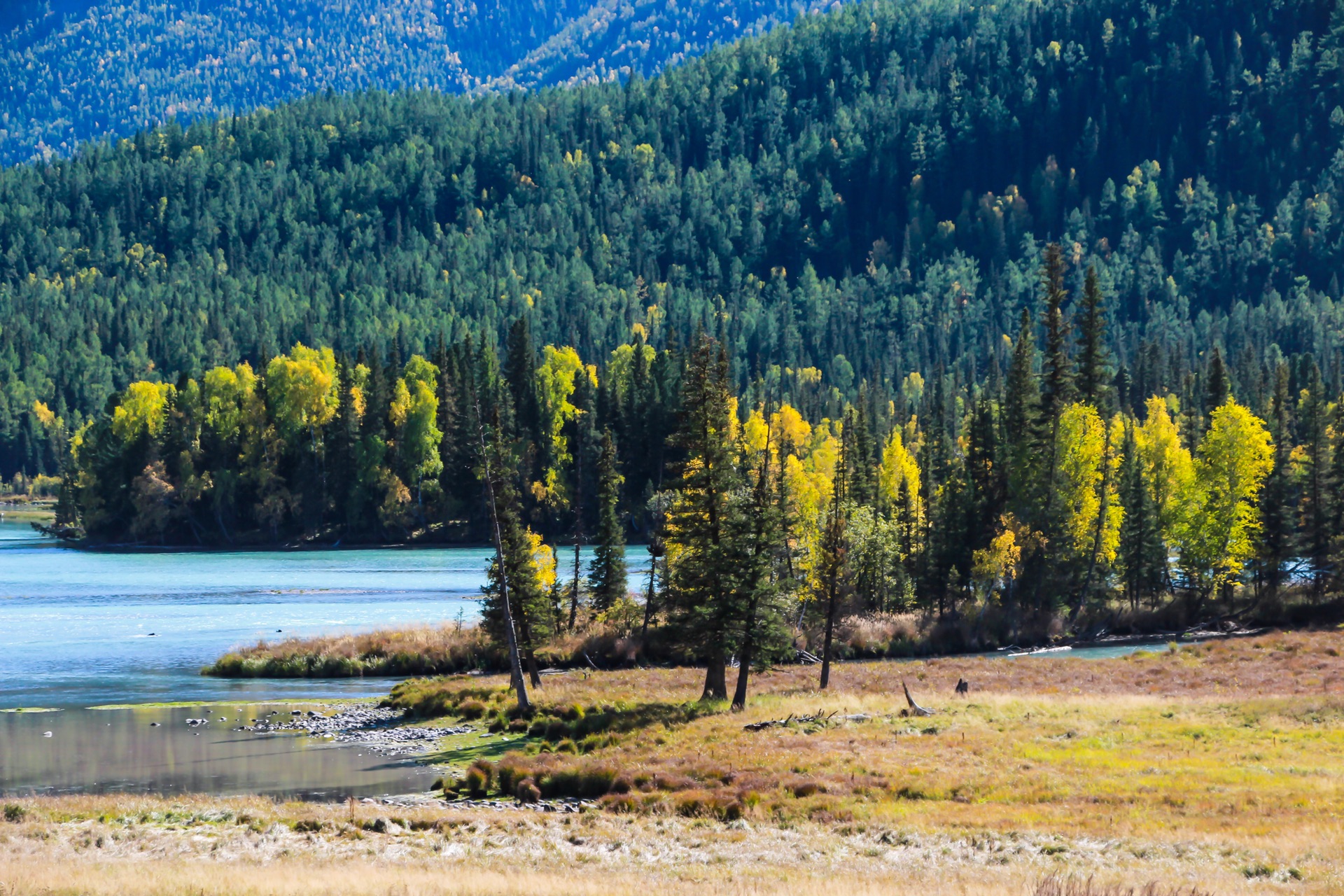 千年美人之地，新疆的自然与文化画卷