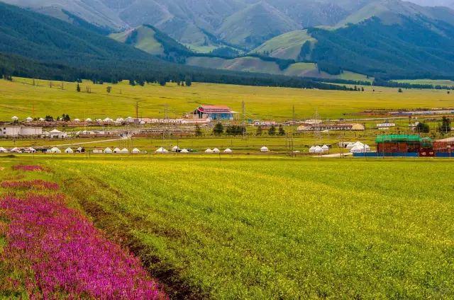 张家口，绿色冬奥典范，迈向可持续发展未来之城