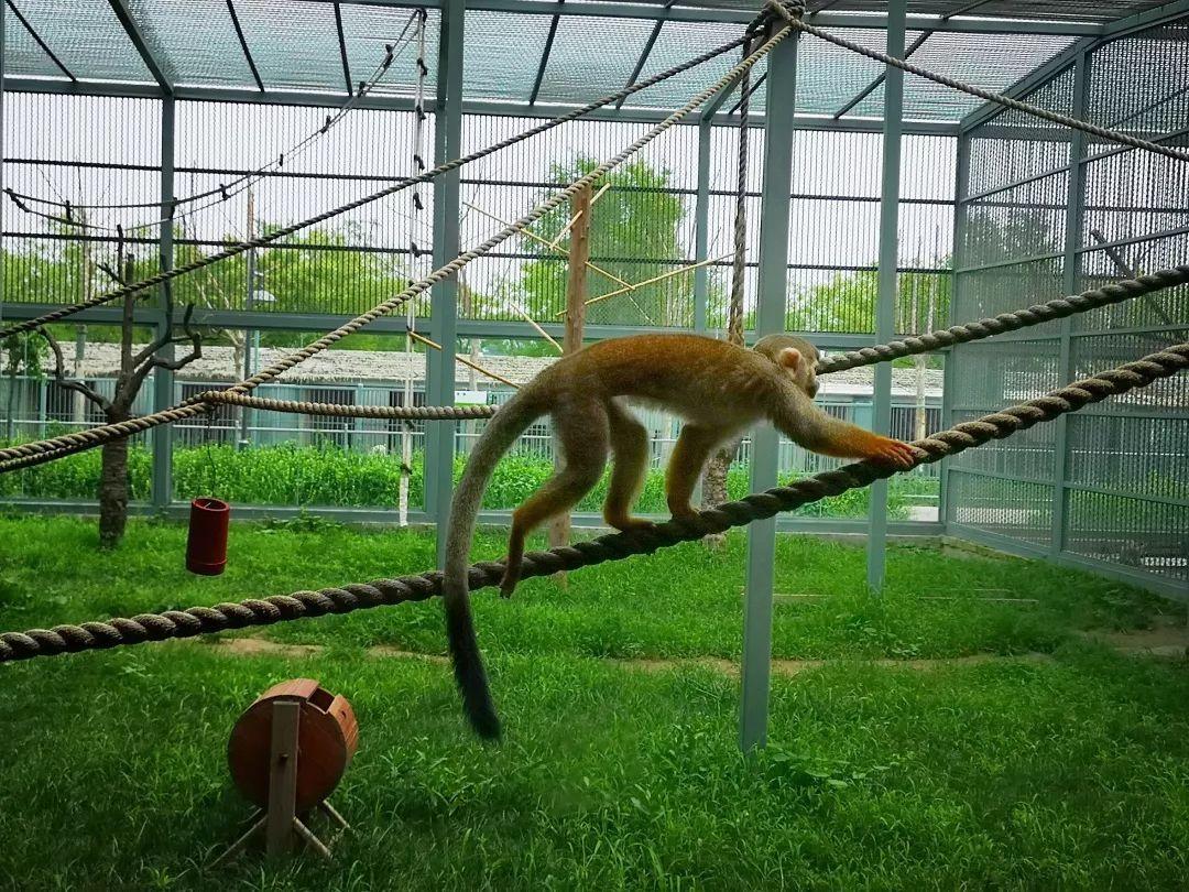 梦回古韵,沧州寻梦之旅